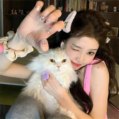 本尼迪特天才秘社第二季